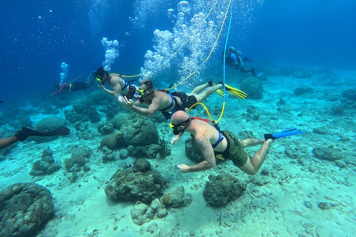 Curacao Sea Trek Snuba Combo Walk Tour and Dive the Ocean