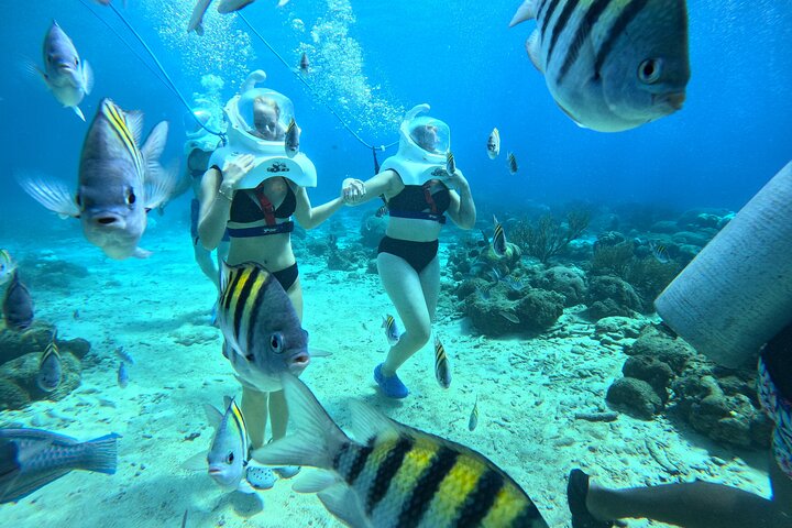 Curacao Sea Trek Snuba Combo Walk Tour and Dive the Ocean