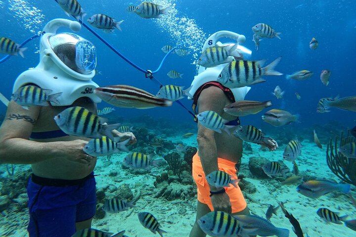 Curacao Sea Trek Snuba Combo Walk Tour and Dive the Ocean
