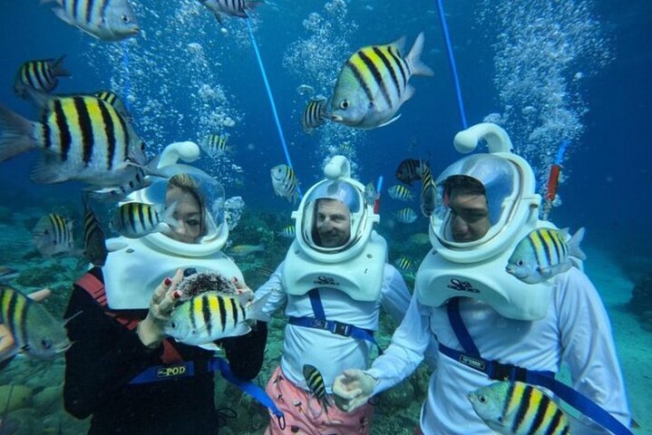 Curacao Sea Trek Snuba Combo Walk Tour and Dive the Ocean
