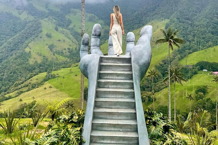 Private Tour Cocora Valley, Salento, Philandia and Coffee