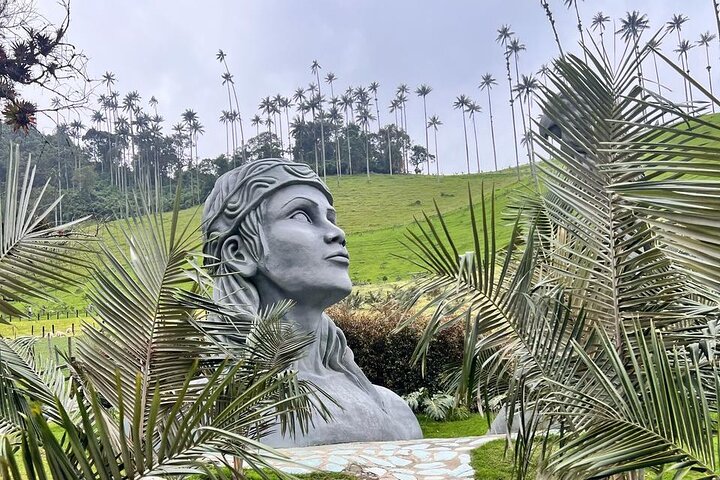 Private Tour Cocora Valley, Salento, Philandia and Coffee