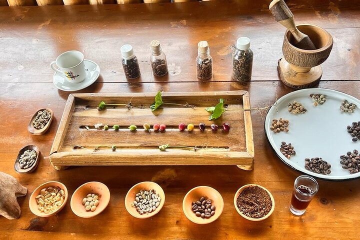 Private Tour Cocora Valley, Salento, Philandia and Coffee