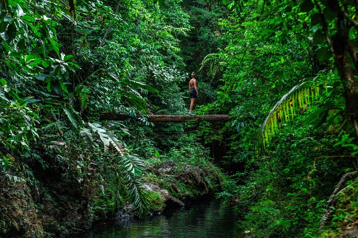 Full-Day Adventure in Corcovado National Park from Drake Bay