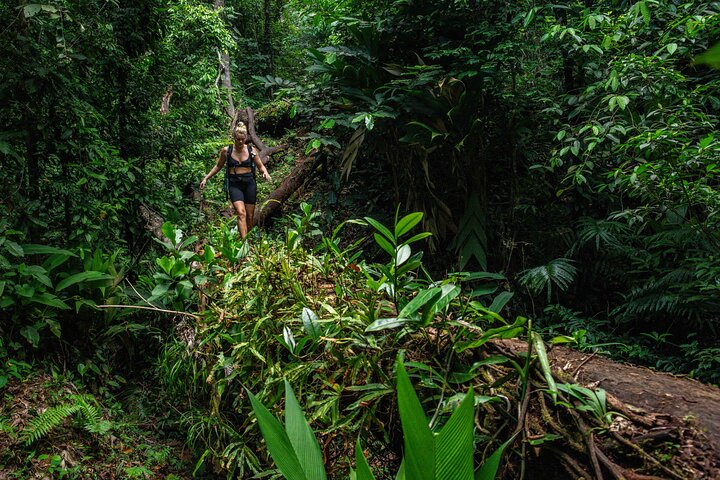 Full-Day Adventure in Corcovado National Park from Drake Bay
