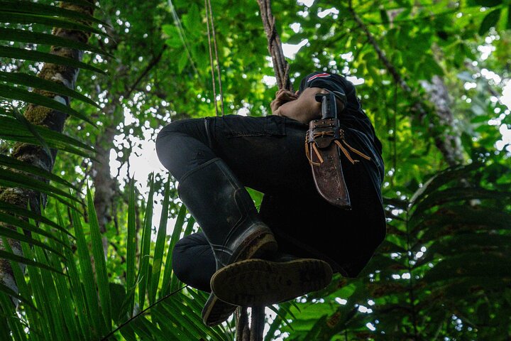 Full-Day Adventure in Corcovado National Park from Drake Bay