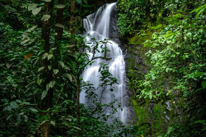 Full-Day Adventure in Corcovado National Park from Drake Bay