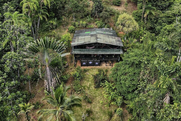 Full-Day Adventure in Corcovado National Park from Drake Bay