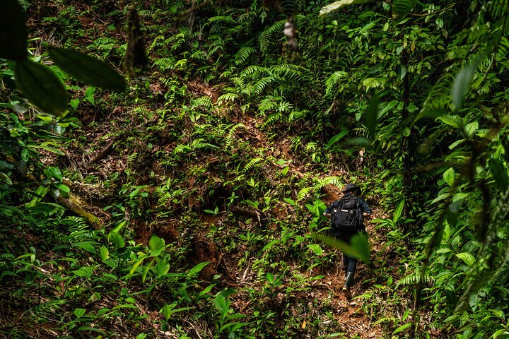 2-Day Tour in Corcovado, Sirena and San Pedrillo Stations