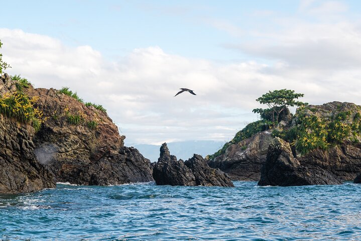 2-Day Tour in Corcovado, Sirena and San Pedrillo Stations