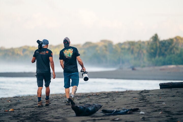 2-Day Tour in Corcovado, Sirena and San Pedrillo Stations
