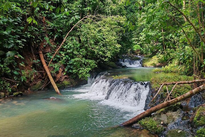 2-Day Tour in Corcovado, Sirena and San Pedrillo Stations