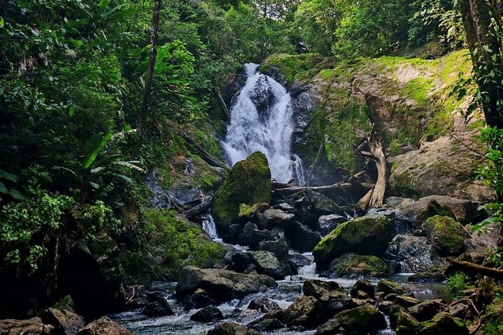 2-Day Tour in Corcovado, Sirena and San Pedrillo Stations
