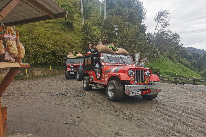 Private Tour Cocora Valley, Salento, Philandia and Coffee