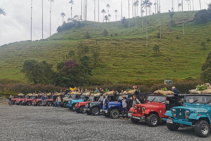 Private Tour Cocora Valley, Salento, Philandia and Coffee