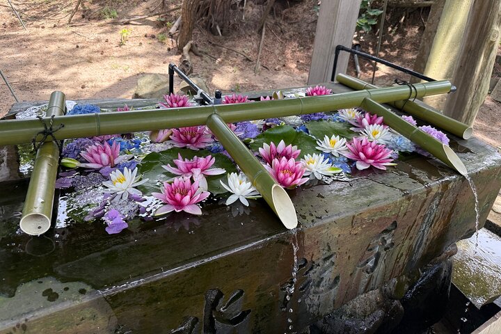 Takayama Inari Shrine & Tsurunomai-hashi bridge Tour