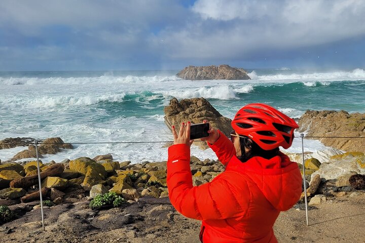 Monterey's 17 Mile Drive Guided Electric Bike Tour, 3 hr