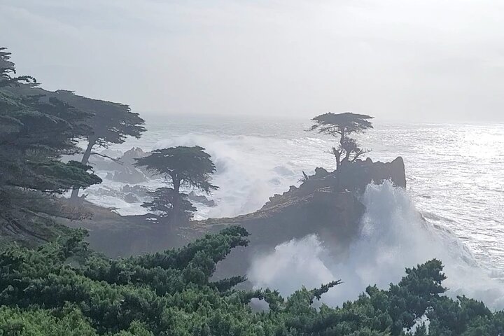 Monterey's 17 Mile Drive Guided Electric Bike Tour, 3 hr