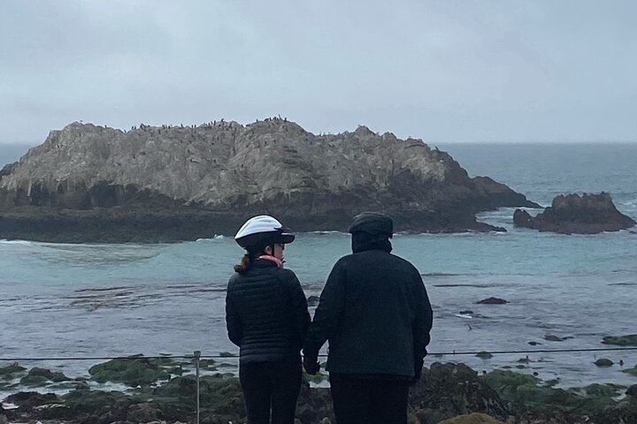 Monterey's 17 Mile Drive Guided Electric Bike Tour, 3 hr