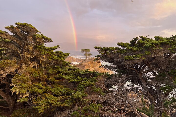Monterey's 17 Mile Drive Guided Electric Bike Tour, 3 hr