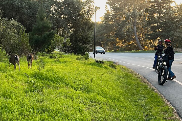 Monterey's 17 Mile Drive Guided Electric Bike Tour, 3 hr