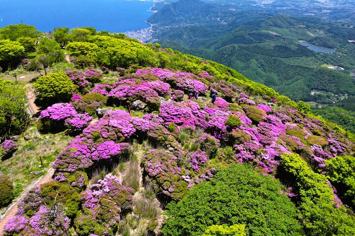 Discover Beppu and Yufuin Nature and Onsen Trip