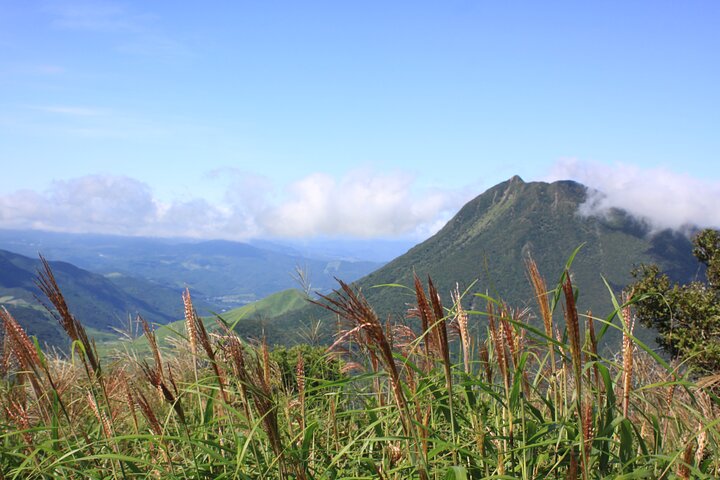 Discover Beppu and Yufuin Nature and Onsen Trip