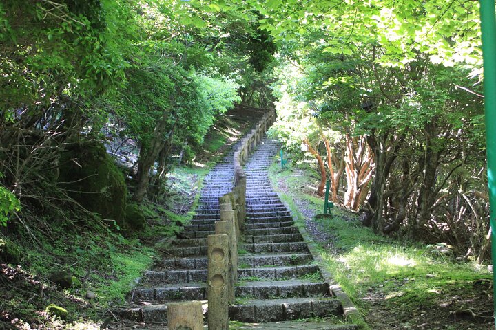 Discover Beppu and Yufuin Nature and Onsen Trip