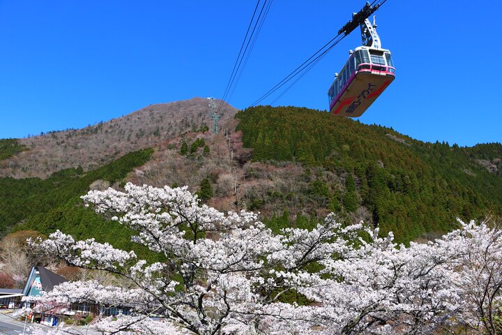 Discover Beppu and Yufuin Nature and Onsen Trip