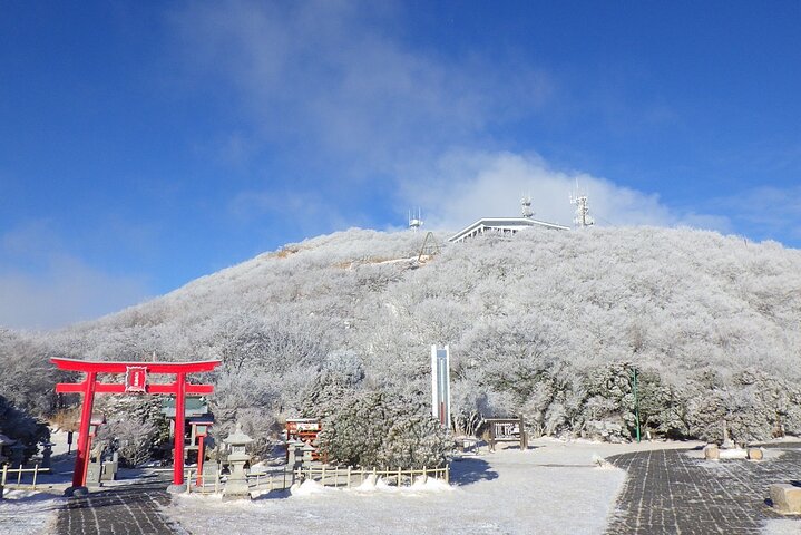 Discover Beppu and Yufuin Nature and Onsen Trip