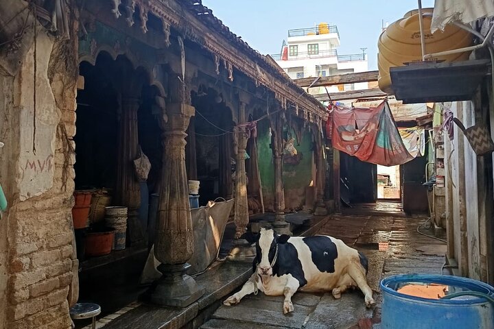 Mysore By Cycle Cultural and Heritage Bike Tour