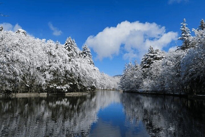 Karuizawa Private Vehicle Service with Restaurant Reservation