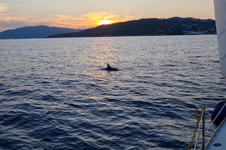 All Inclusive Daily Sailing with BBQ on Board