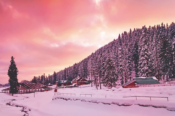 Gulmarg Adventure: A Thrilling Day Trip from Srinagar