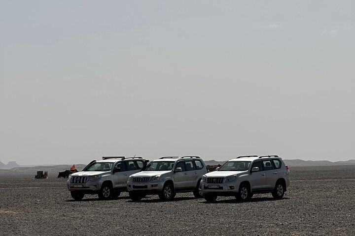 Merzouga 4X4 -Day Trip With Private Local Guide