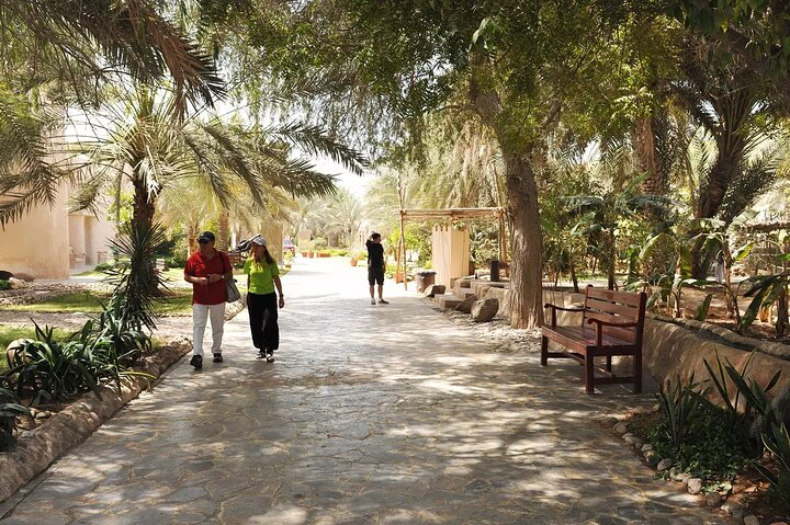 Abu Dhabi Layover City Sightseeing Tour - Private & Flexible