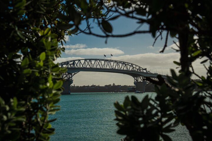 Half-day Discover Auckland City Sightseeing Tour