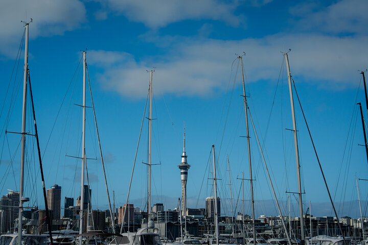 Half-day Discover Auckland City Sightseeing Tour
