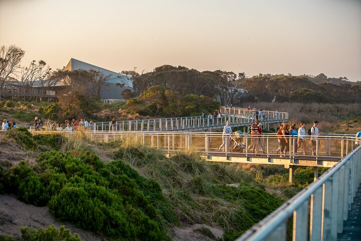Full-Day Phillip Island Tour with Kangaroo, Koala and Penguin Parade