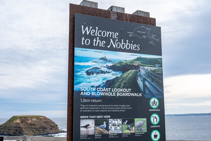 Full-Day Phillip Island Tour with Kangaroo, Koala and Penguin Parade