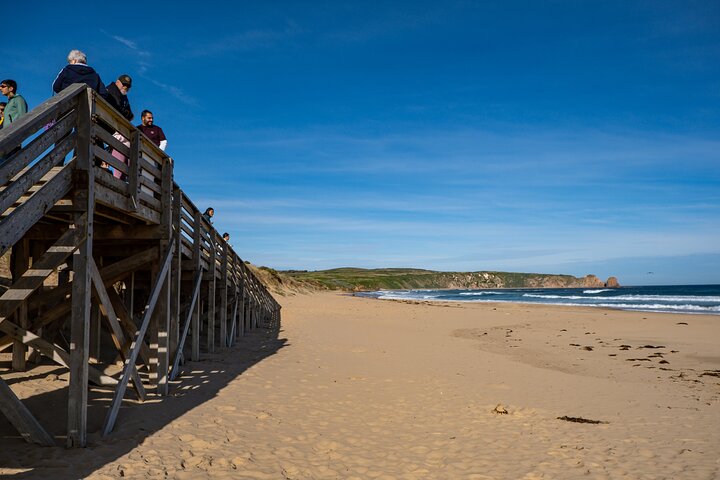 Full-Day Phillip Island Tour with Kangaroo, Koala and Penguin Parade