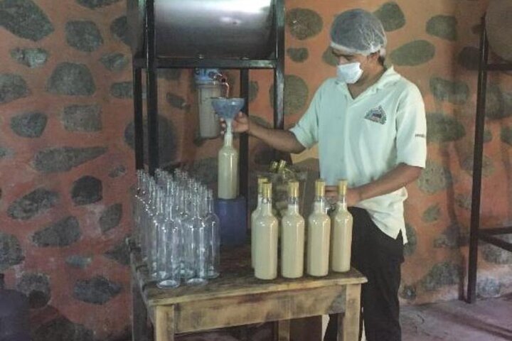 Explore Puerto Vallarta and Tequila Tasting