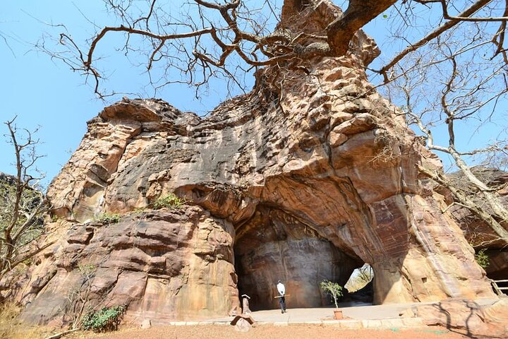 Nagpur to Bhopal via Pench & Satpura National Park