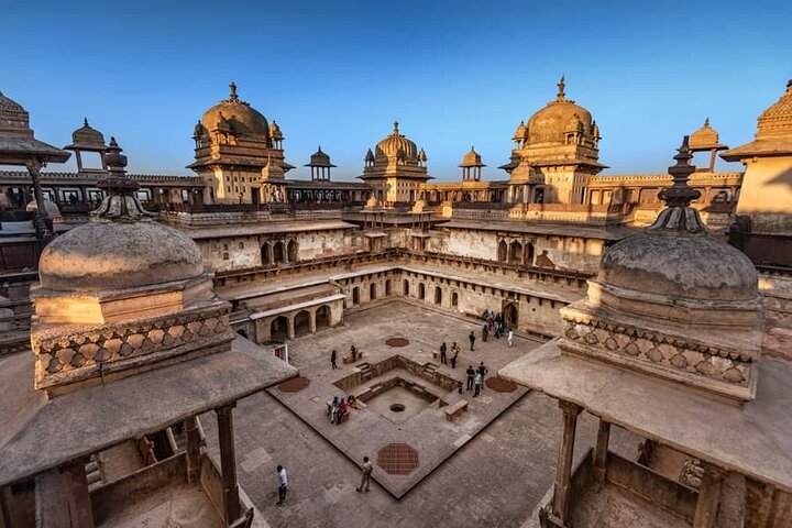 Tiger, Temple & Taj