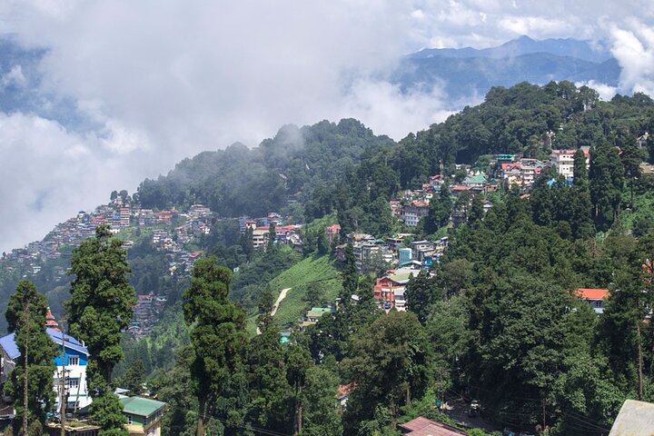 Eastern Himalaya (Darjeeling, Pelling, Gangtok & Kalimpong)