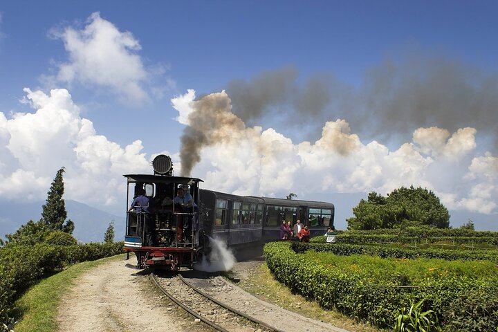 Eastern Himalaya (Darjeeling, Pelling, Gangtok & Kalimpong)