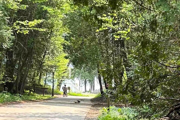 Elegant East Bluff: A Self-Guided Mackinac Island Tour