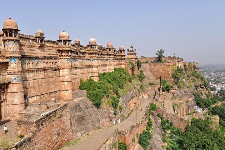 Tiger, Temple & Taj