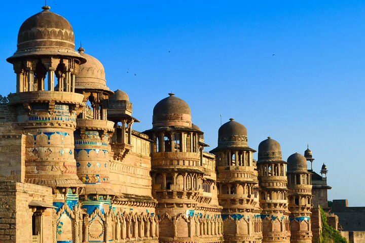 Tiger, Temple & Taj