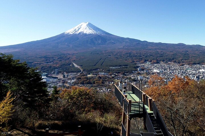 Mount Fuji Passes (optional)